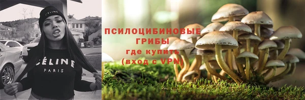 гашик Михайловск