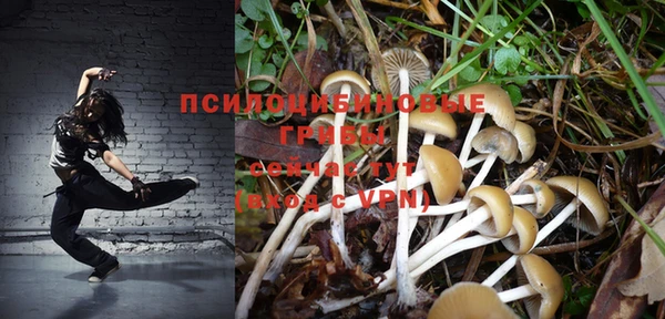 стаф Михайловка