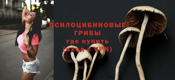 круглые Надым
