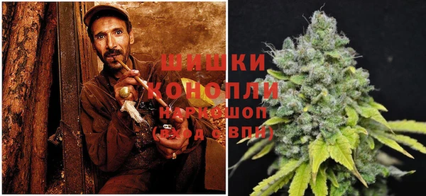 спиды Михайлов