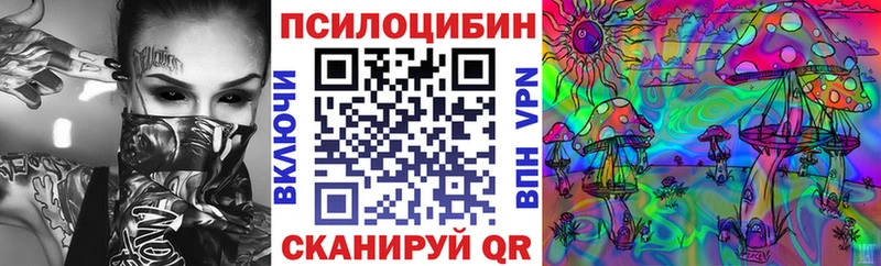 blacksprut ONION  Трубчевск  Галлюциногенные грибы прущие грибы 